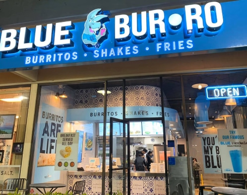 Blue Burro - Shop